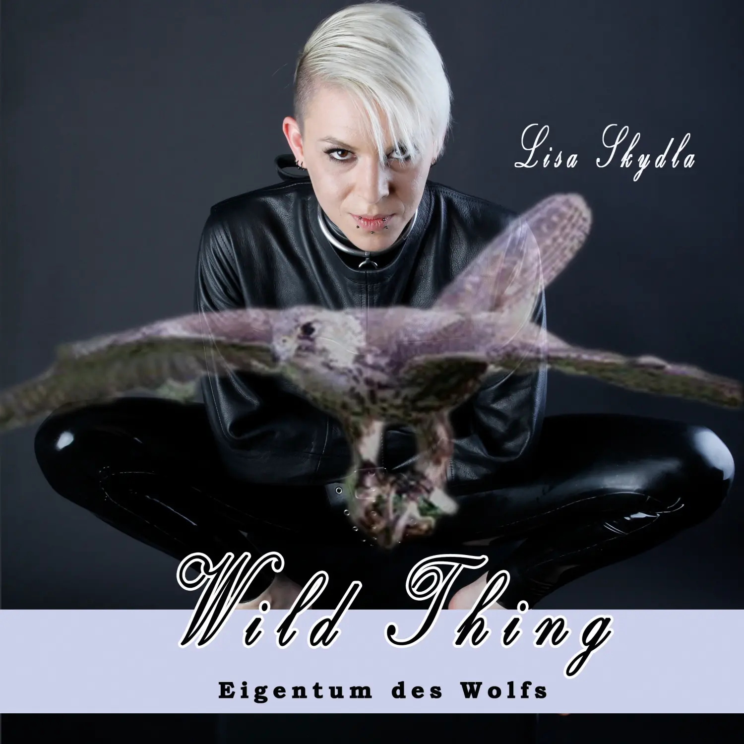 Hörbuch Falke 