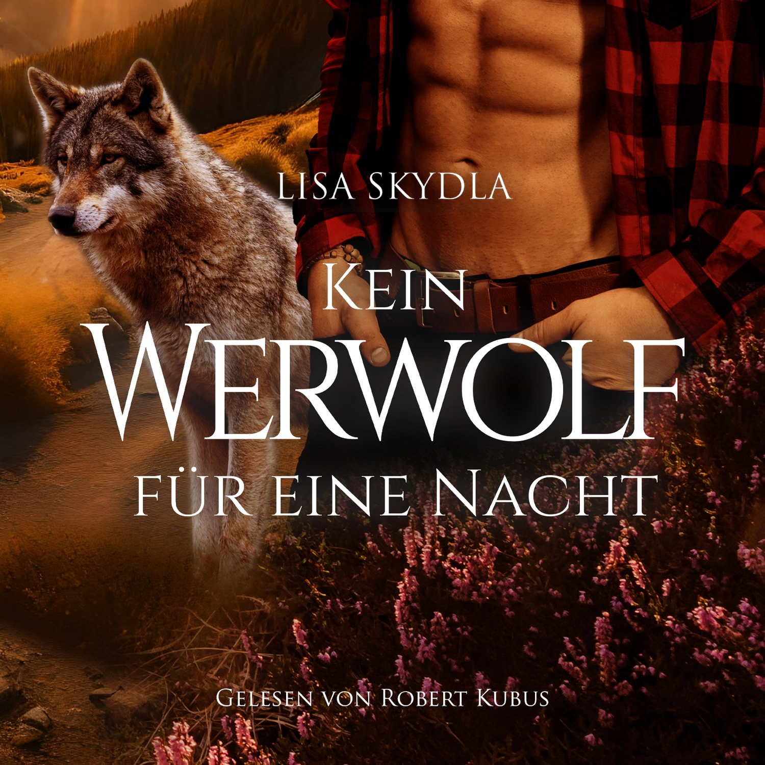 Hörbuch Mystic Ireland Werwolf